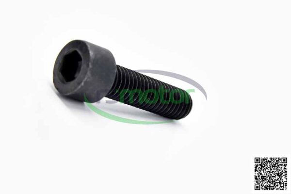 Cylinder Screw MWM RS-01178700 - Image 4