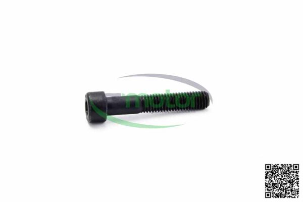 Cylinder Screw MWM RS-01178702