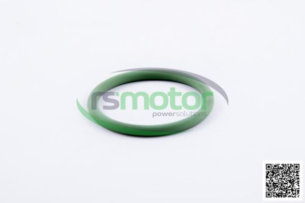 Junta tórica MWM RS-01179355 - Imagen 3