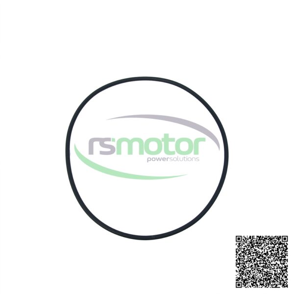 O-seal MWM RS-01179473 - Image 2