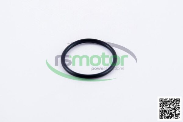 O-seal MWM RS-01179647 - Image 2