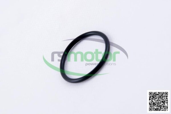 O-seal MWM RS-01179647 - Image 6