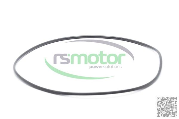 O-Seal MWM RS-01180026 - Image 2
