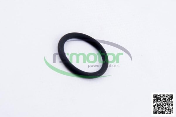 O-seal MWM RS-01180345 - Image 5