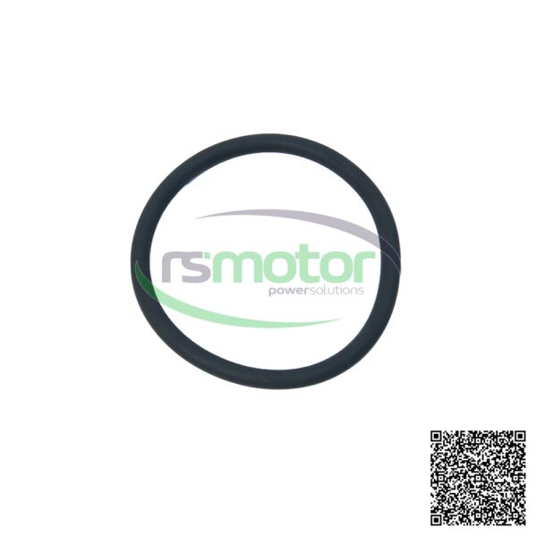 Round Sealing Ring MWM RS-01180359