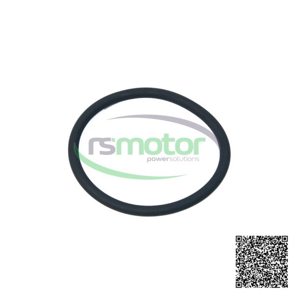 Round Sealing Ring MWM RS-01180359 - Image 2