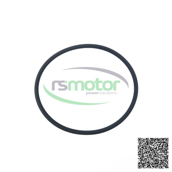 O-Seal MWM RS-01180360 - Image 5