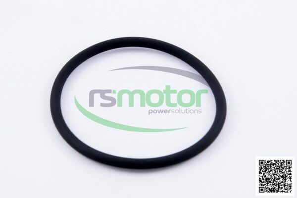 O-seal MWM RS-01180367 - Image 2