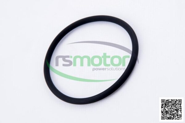 O-seal MWM RS-01180367 - Image 6