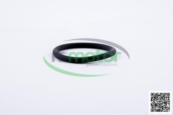 O-seal MWM RS-01180647 - Image 4