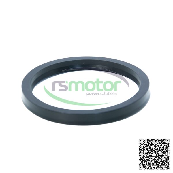 V-seal MWM RS-01180665