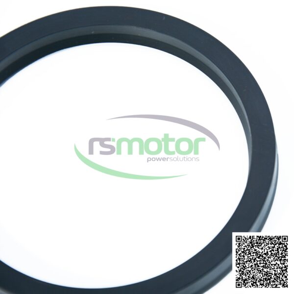 V-seal MWM RS-01180665 - Image 4