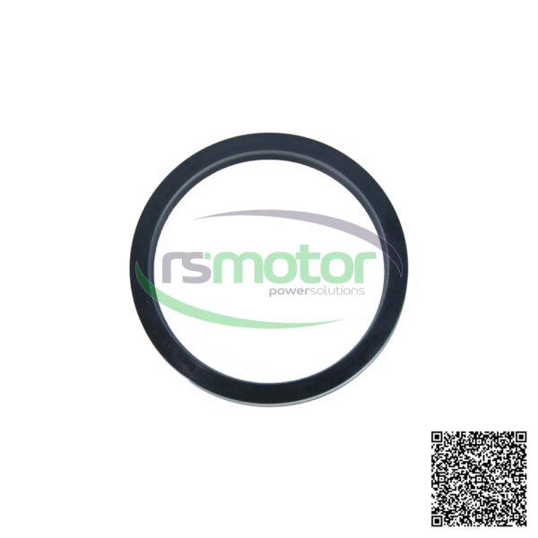 V-seal MWM RS-01180665 - Image 5