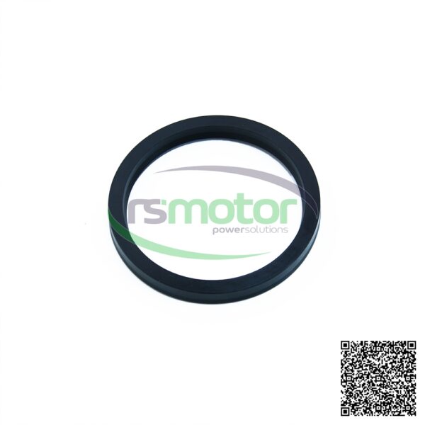 V-seal MWM RS-01180665 - Image 3