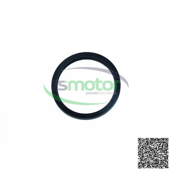 V-seal MWM RS-01180665 - Image 2