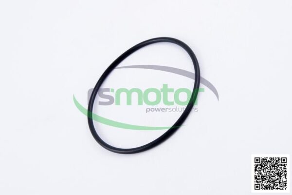 O-seal MWM RS-01180772 - Image 6