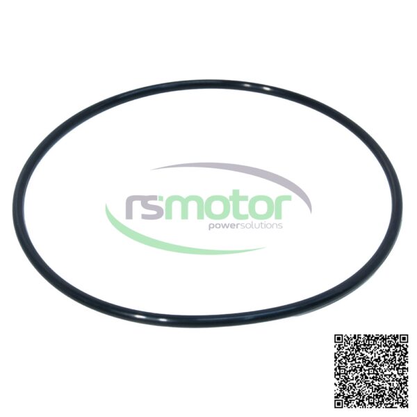 O-Seal MWM RS-01180912 - Image 2