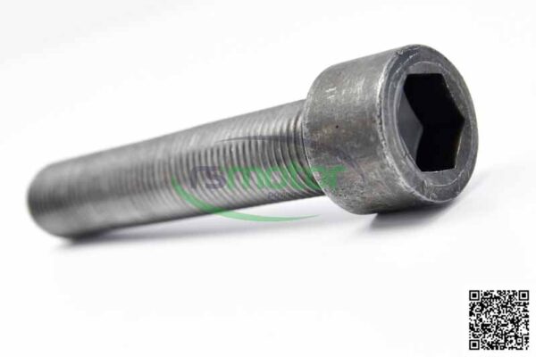 Cheese head screw MWM RS-01180926 - Image 2