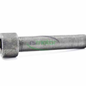 Cheese head screw MWM RS-01180926