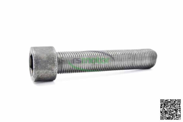Cheese head screw MWM RS-01180926