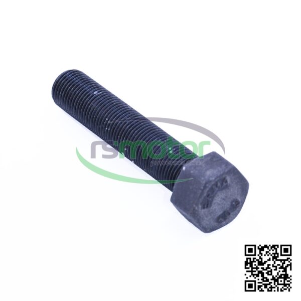 Hexagon Bolt MWM RS-01181000