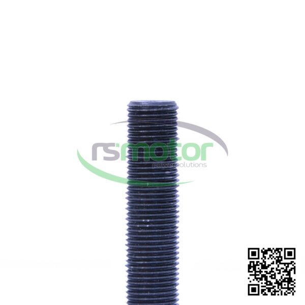 Hexagon Bolt MWM RS-01181000 - Image 4