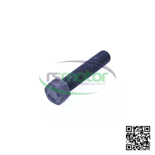 Hexagon Bolt MWM RS-01181000 - Image 3