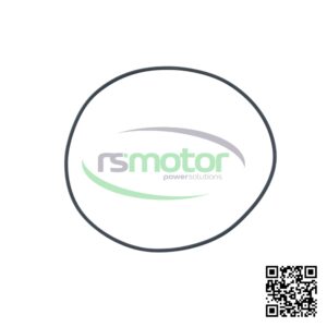 Junta Tórica MWM 01181053 sobre un fondo blanco y con el logo de "RS Motor" en el centro
