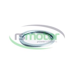 Sealing ring MWM RS-01181239