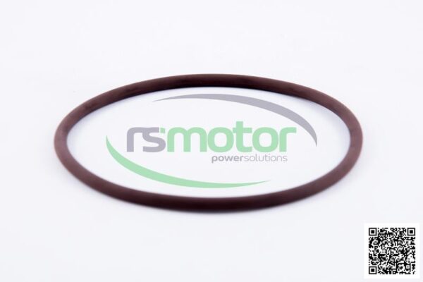 O-seal MWM RS-01181342 - Image 3
