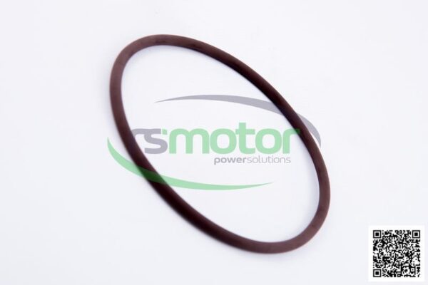O-seal MWM RS-01181342 - Image 5