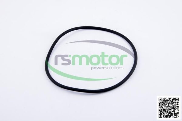 O-seal MWM RS-01181343 - Image 2