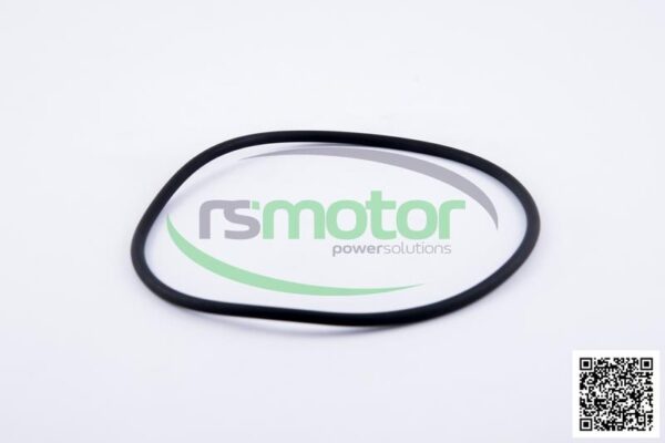 O-seal MWM RS-01181343 - Image 3