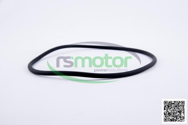 O-seal MWM RS-01181343 - Image 4