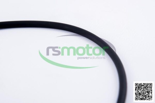 O-seal MWM RS-01181343 - Image 5