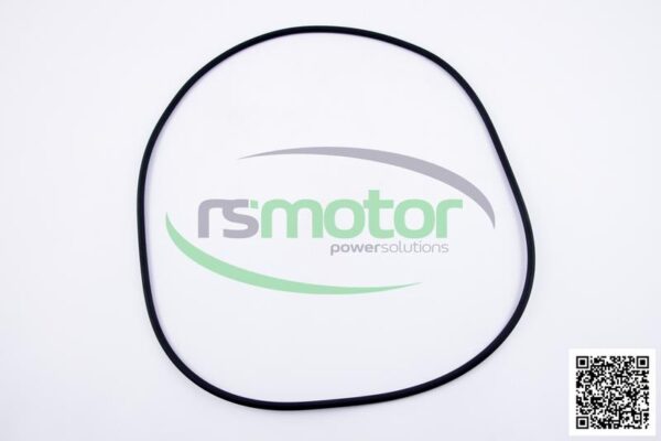 O-Seal MWM RS-01181674 - Image 2