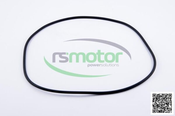 O-Seal MWM RS-01181674 - Image 3