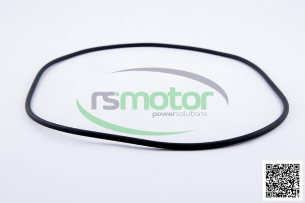 O-Seal MWM RS-01181674 - Image 5