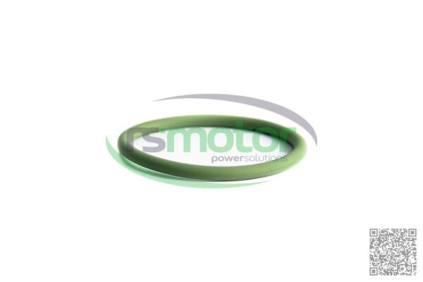 O-seal MWM RS-01181871 - Image 2