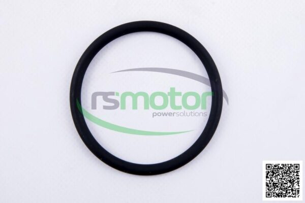 O-seal MWM RS-01181982 - Image 2