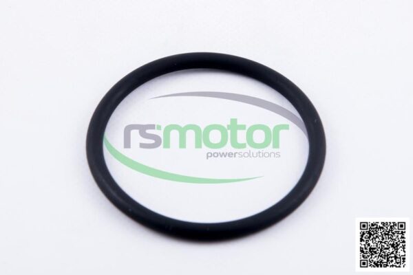 O-seal MWM RS-01181982 - Image 3