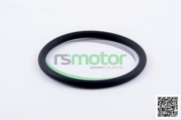 O-seal MWM RS-01181982 - Image 4