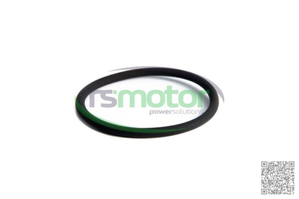 O-seal MWM RS-01182617 - Image 2