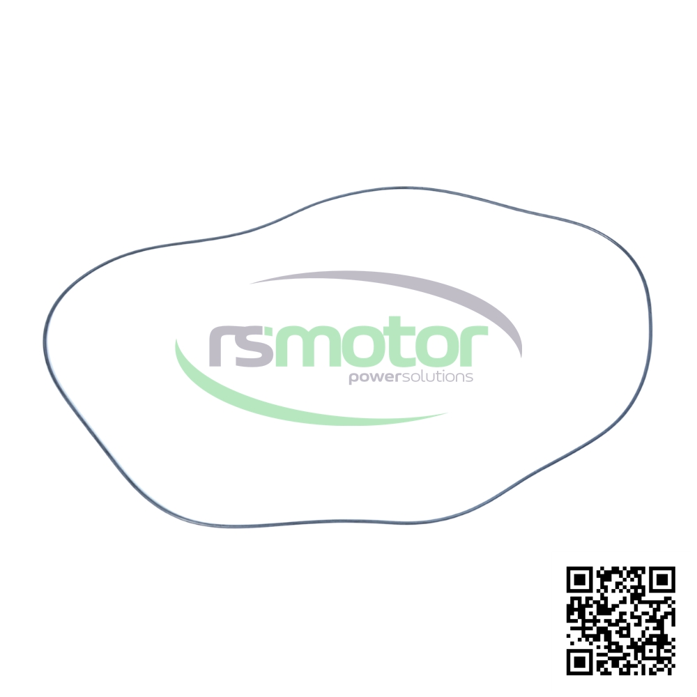 O-Seal MWM RS 01182768 Sobre un fondo blanco con el logo de RS Motor de fondo