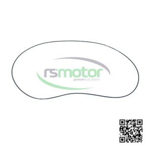 Junta Tórica MWM 01182769 sobre un fondo blanco y con el logo de "RS Motor" en el centro