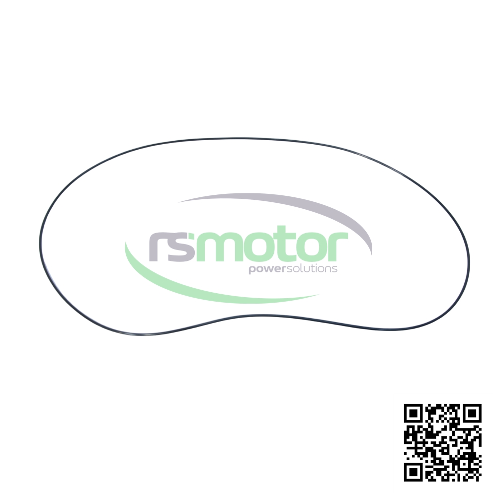 Junta Tórica MWM 01182769 sobre un fondo blanco y con el logo de "RS Motor" en el centro