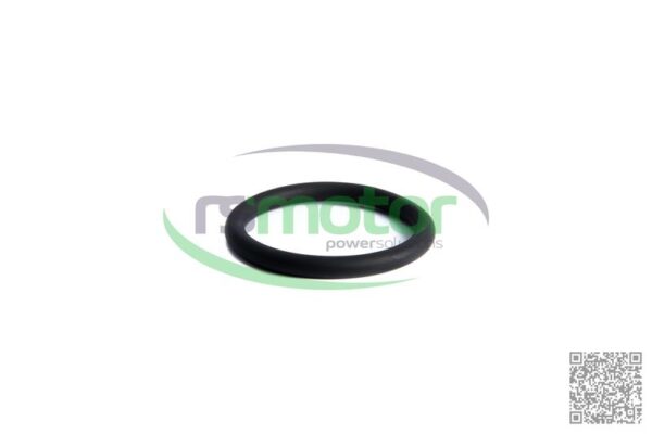 O-seal MWM RS-01183029 - Image 2