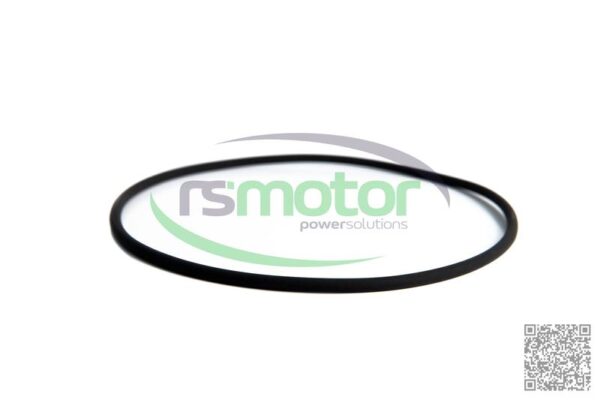O-seal MWM RS-01183301 - Image 2