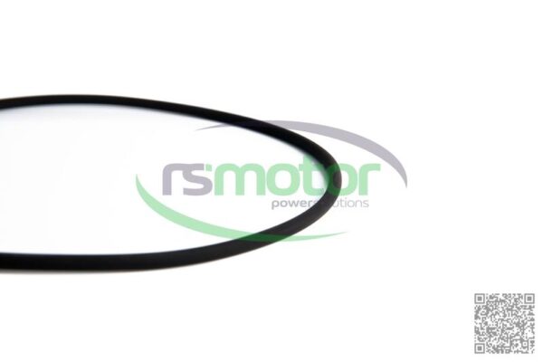 O-seal MWM RS-01183301 - Image 3