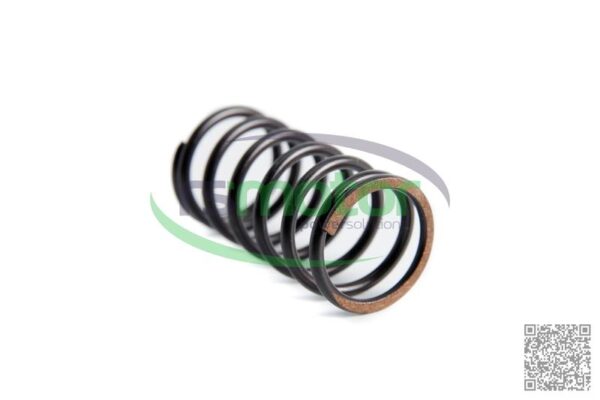 Compression Spring MWM RS-01222009 - Image 2